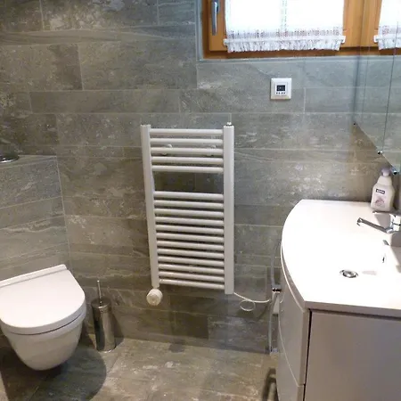 Chalet Regina 아파트 Leuk
